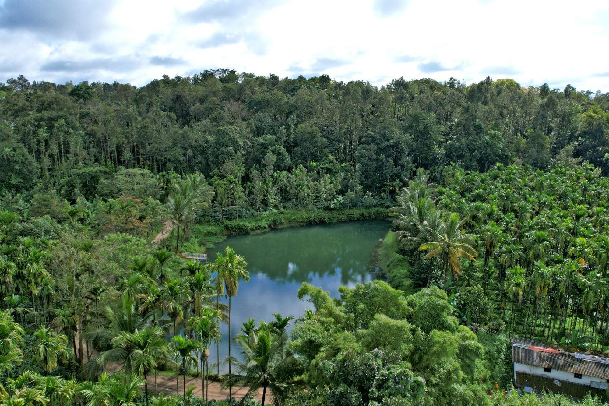 Leisure Homestay - Pool, Boating, Zipline, Home Food, Estate Chikmagalur Exterior photo